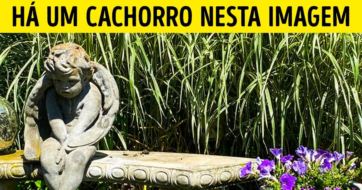 Teste: encontre os animais que estão perdidos nestas 13 imagens, como uma agulha no palheiro