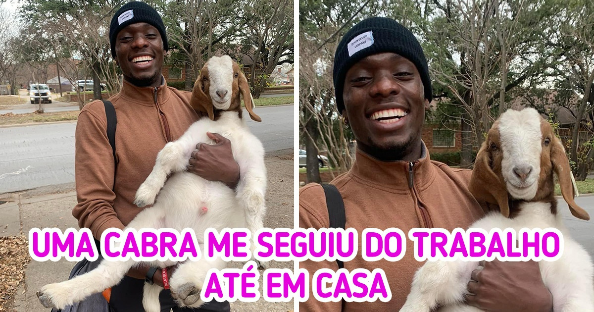 16 Fotos para você sentir a mais sincera felicidade através da tela