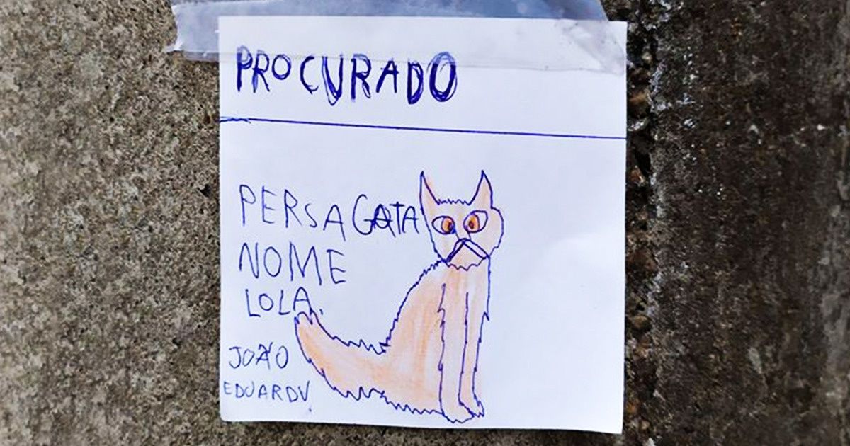 Criança desenha gatinha que desapareceu e espalha cartazes diferentes para encontrá-la