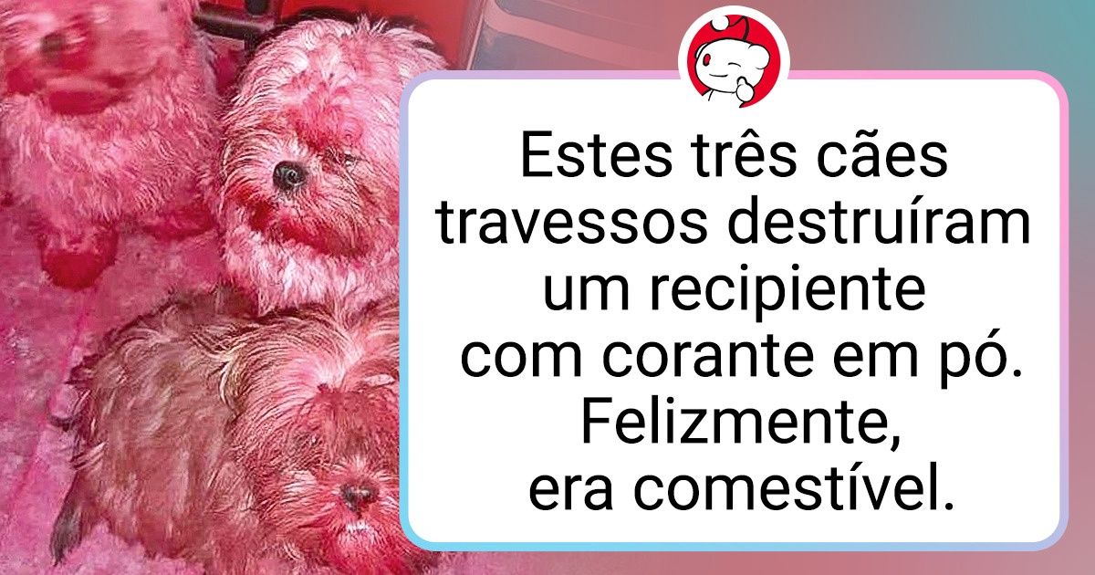 20 Animais de estimação que se comportam muito, mas muito mal (mas ainda assim os amamos)