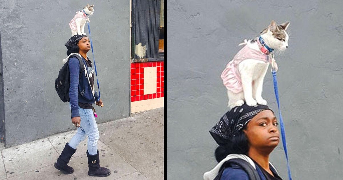 24 Fotos feitas para confundir qualquer pessoa