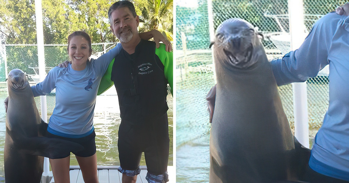 20 Instantes cheios de amor e felicidade que vão iluminar o seu dia