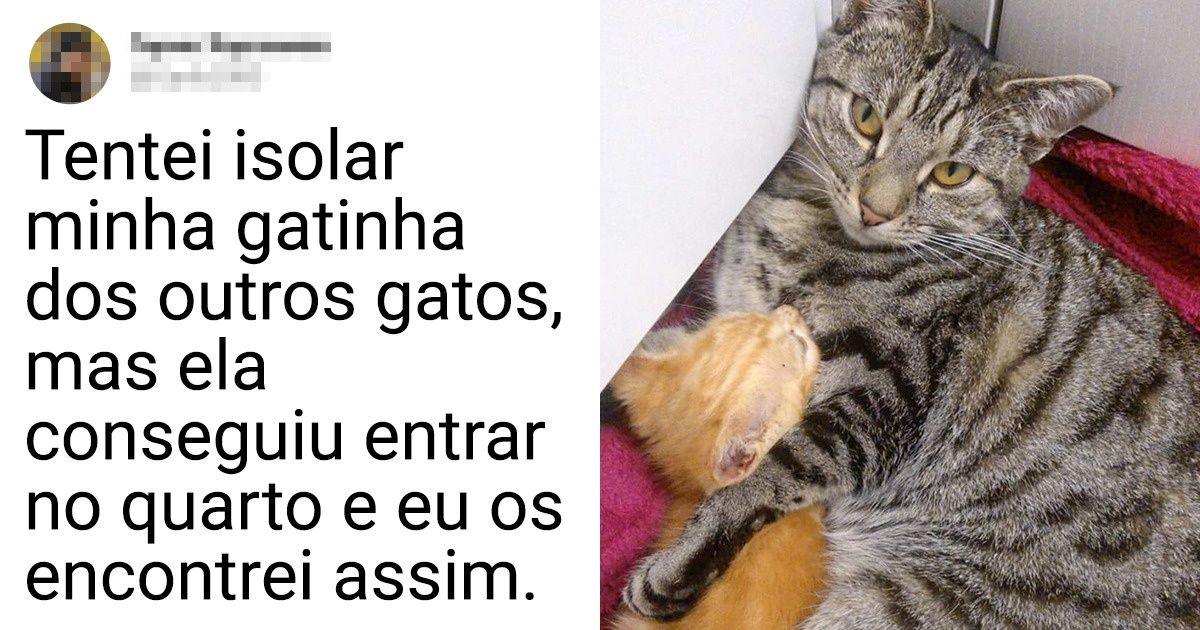 18 Seguidores do Incrível mostram como os animais de estimação podem ser grandes amigos