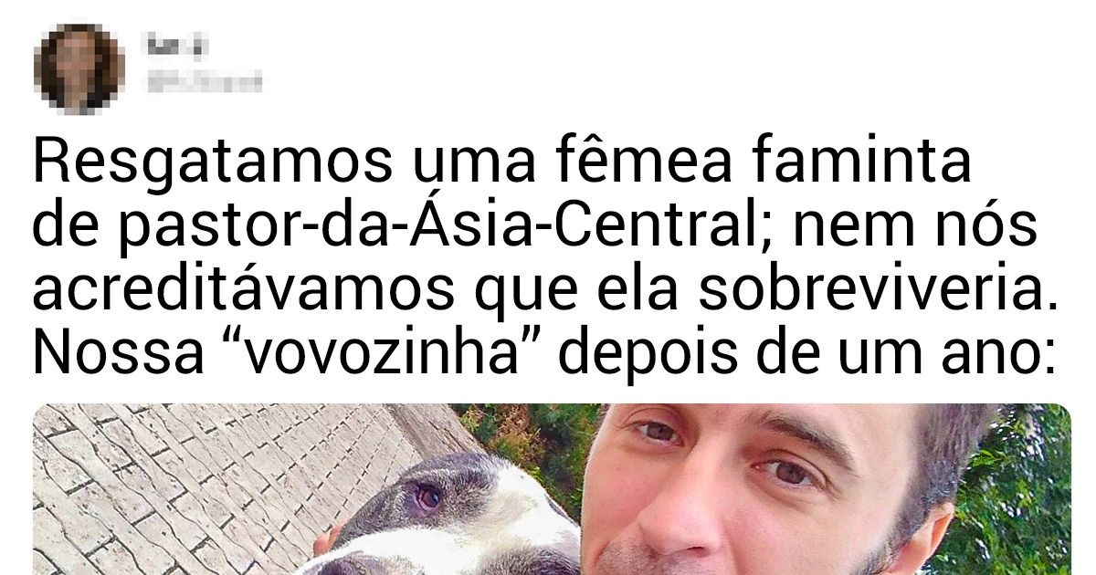 16 Relatos comoventes sobre animais que conseguiram voltar a confiar em humanos