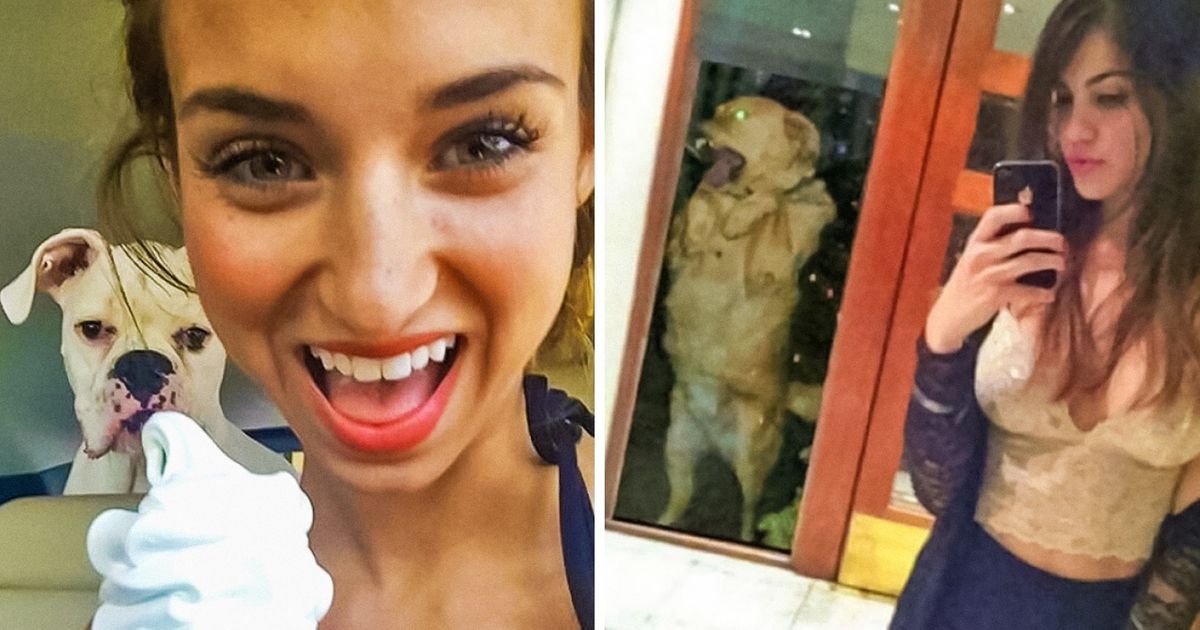 22 Selfies em que o resultado foi diferente do esperado