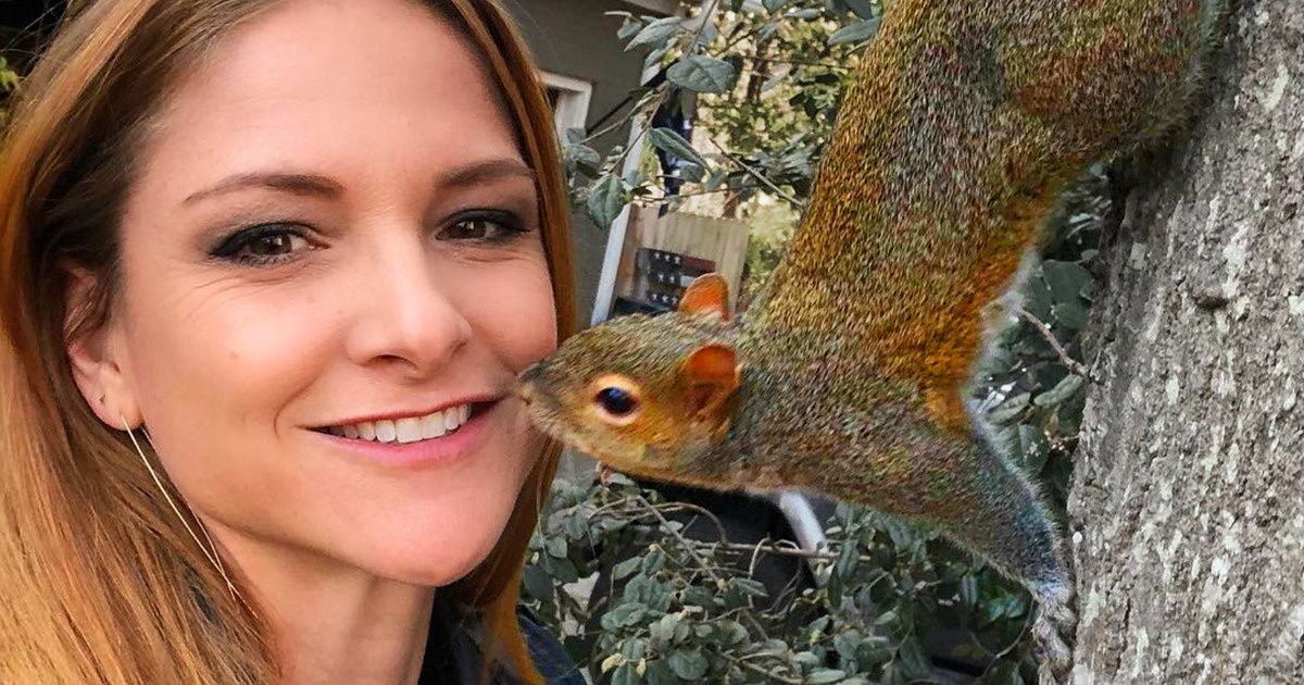 A história de um esquilo que há 8 anos visita sua amiga humana que o salvou do ataque de uma coruja