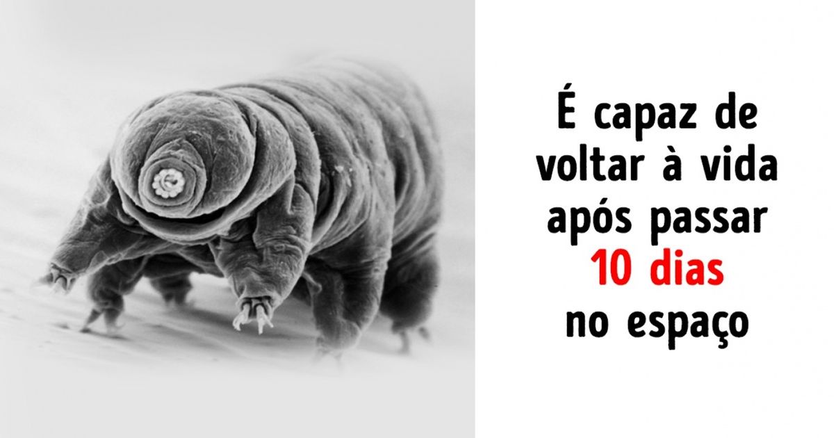 9 Seres que sobreviveriam a uma guerra nuclear