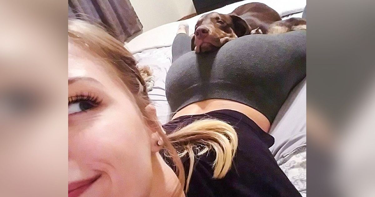 20+ Animais de estimação que se acomodaram nos locais mais improváveis