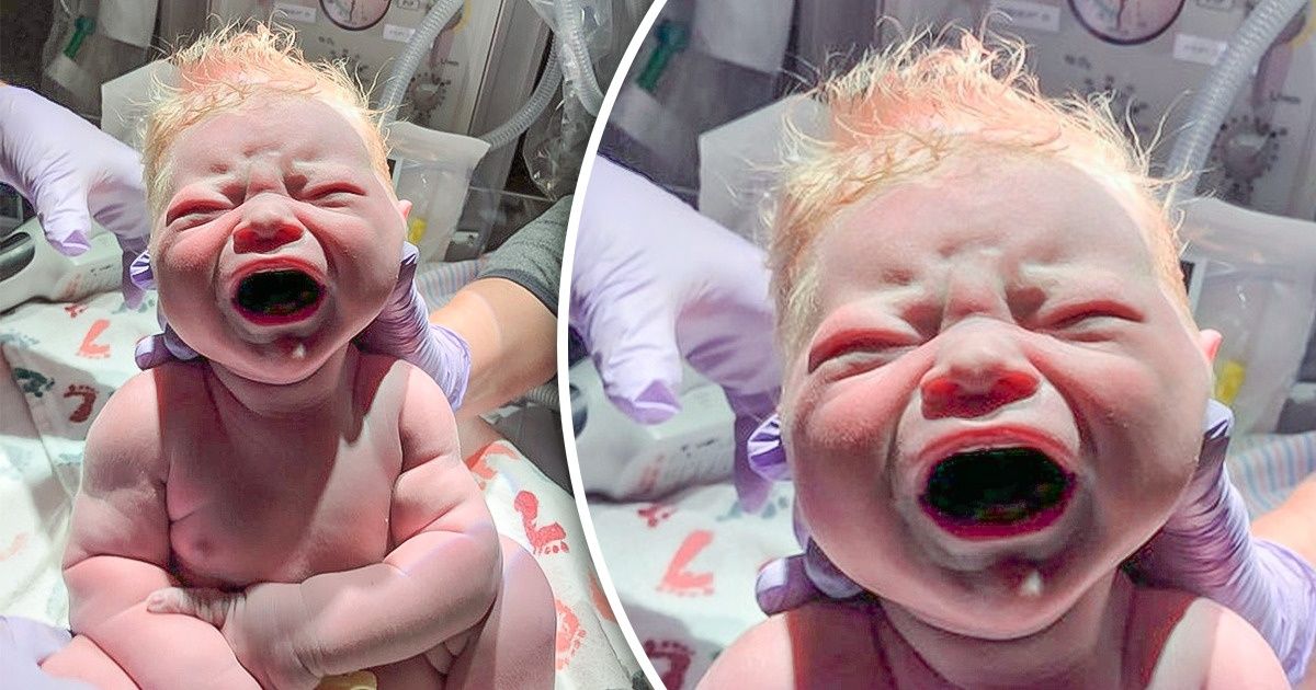15+ Fotos que provam como o corpo humano é realmente impressionante