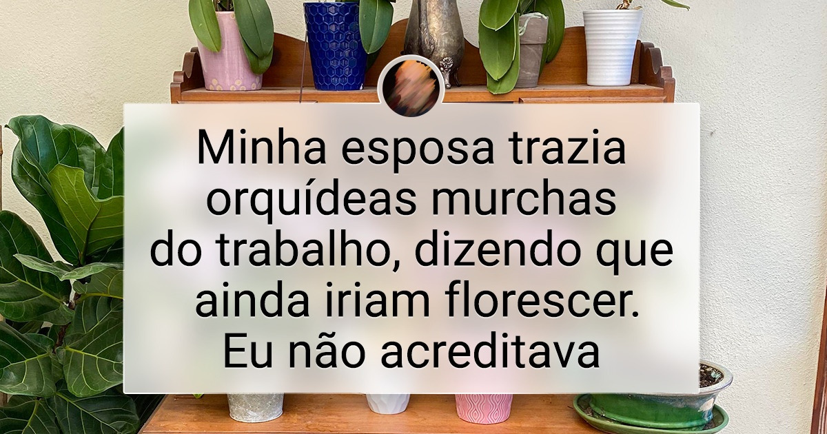20+ Fãs de plantas que entregaram seus corações às orquídeas 20+ Fãs de plantas que entregaram seus corações às orquídeas
