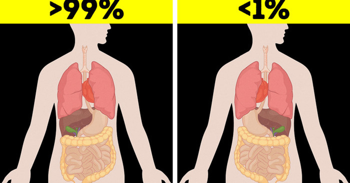 28 Fatos Corporais que Mudarão a Forma como Você Se Vê