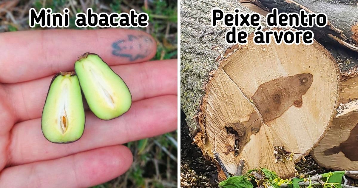 20 Vezes em que a natureza usou todas as suas habilidades artísticas para nos deixar de queixo caído 20 Vezes em que a natureza usou todas as suas habilidades artísticas para nos deixar de queixo caído