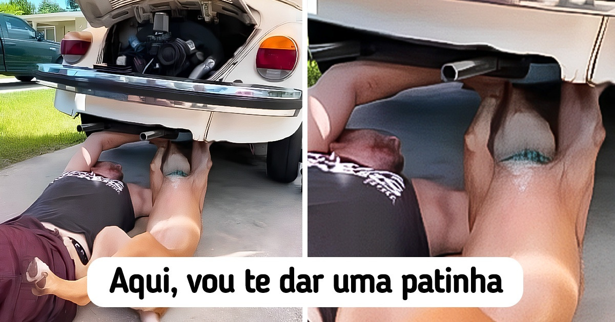 20+ Cachorros que não costumam agir como os outros animais e fazem seus donos rirem muito