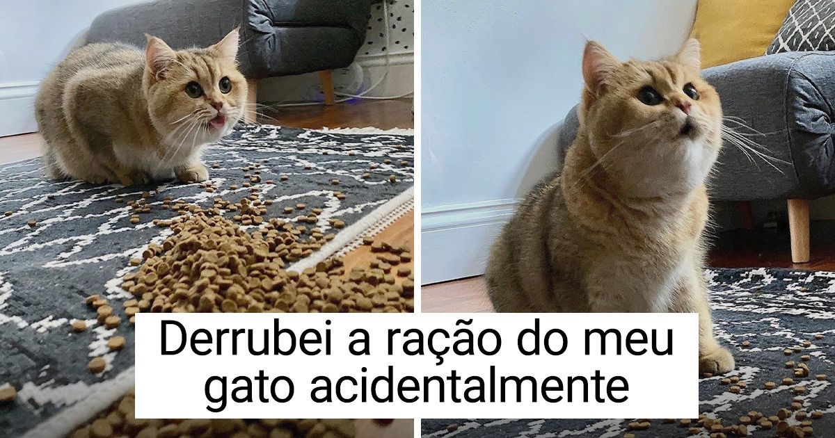 20 Acidentes envolvendo pets que fizeram as pessoas correrem para pegar suas câmeras 20 Acidentes envolvendo pets que fizeram as pessoas correrem para pegar suas câmeras