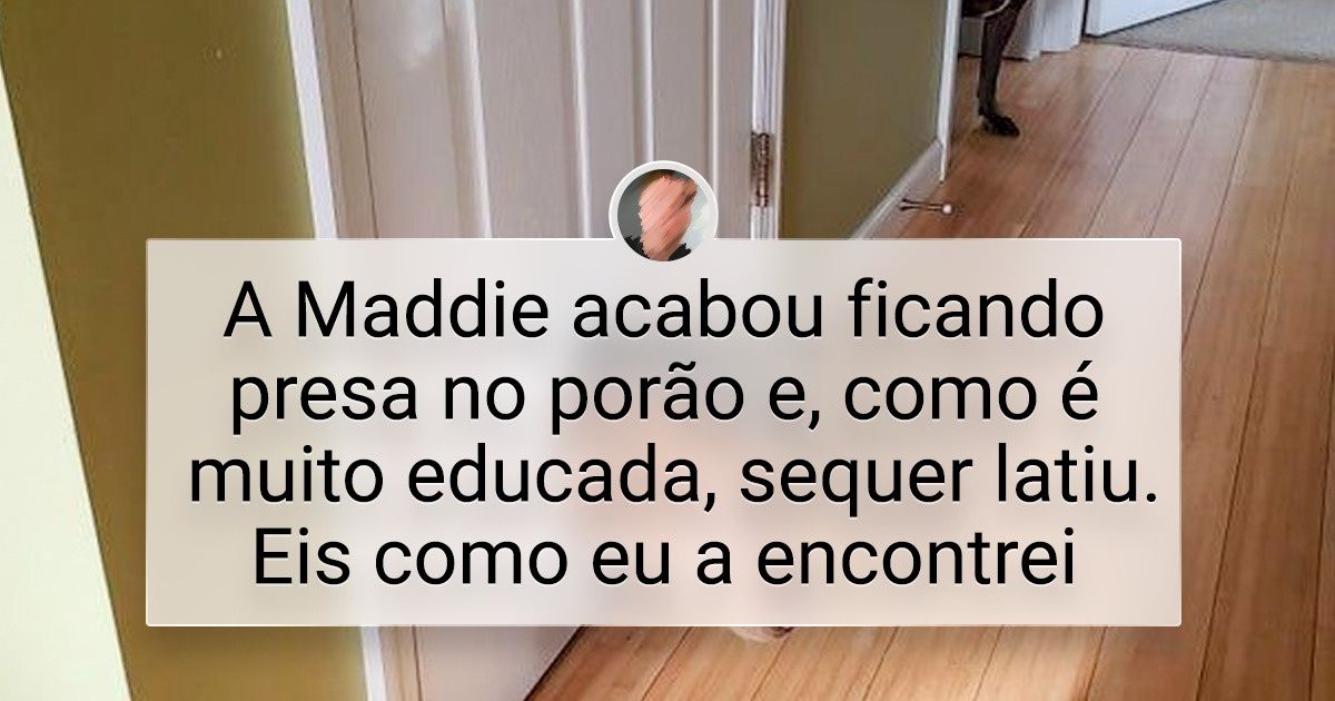 17 Animais de estimação que não dão um minuto de sossego aos seus donos