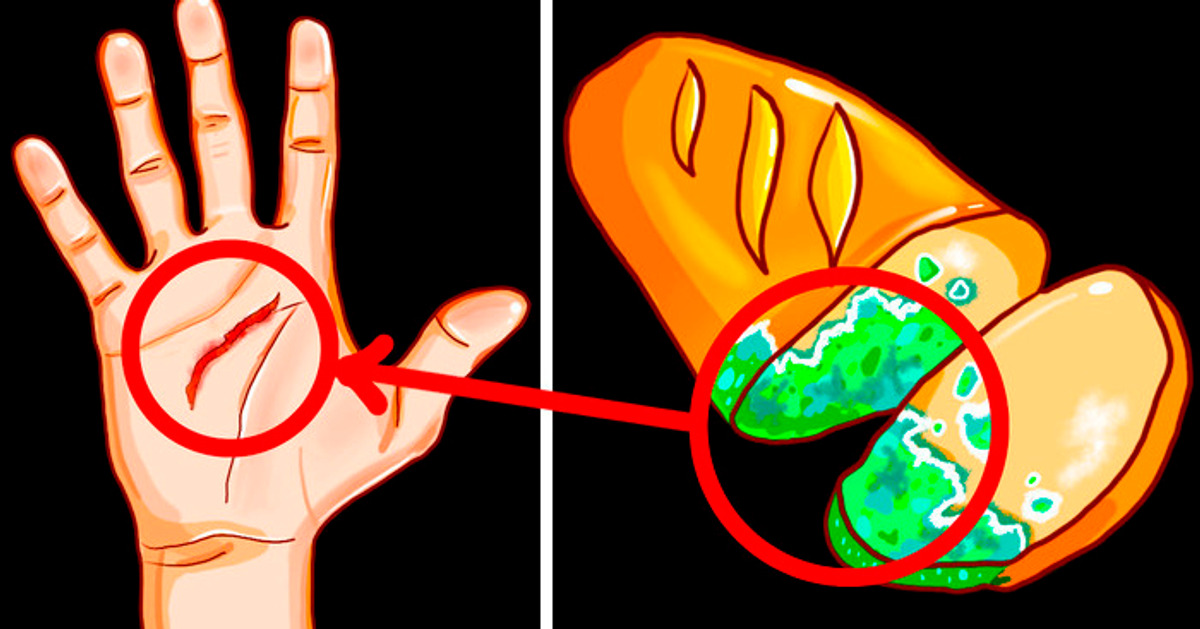 30 Hábitos da Antiguidade que Impressionaram até meu Professor de História 30 Hábitos da Antiguidade que Impressionaram até meu Professor de História