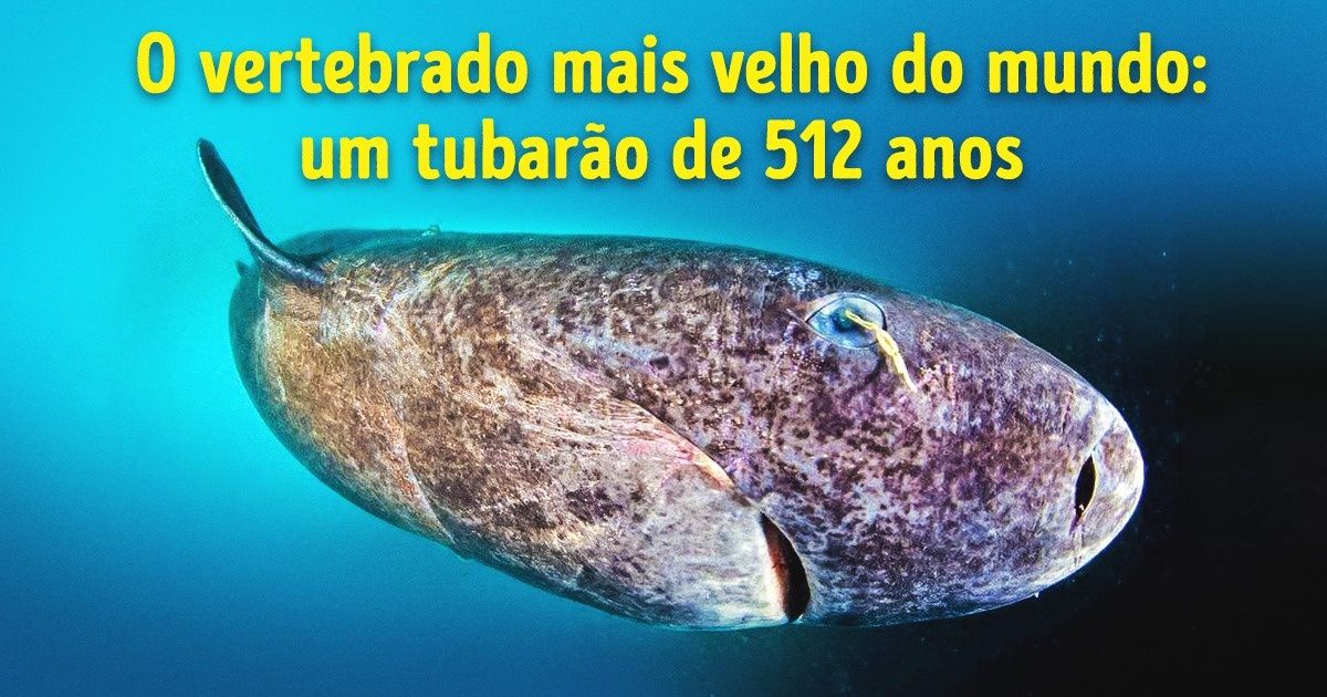 Tente ver estas 17 imagens sem dizer: “wow!”