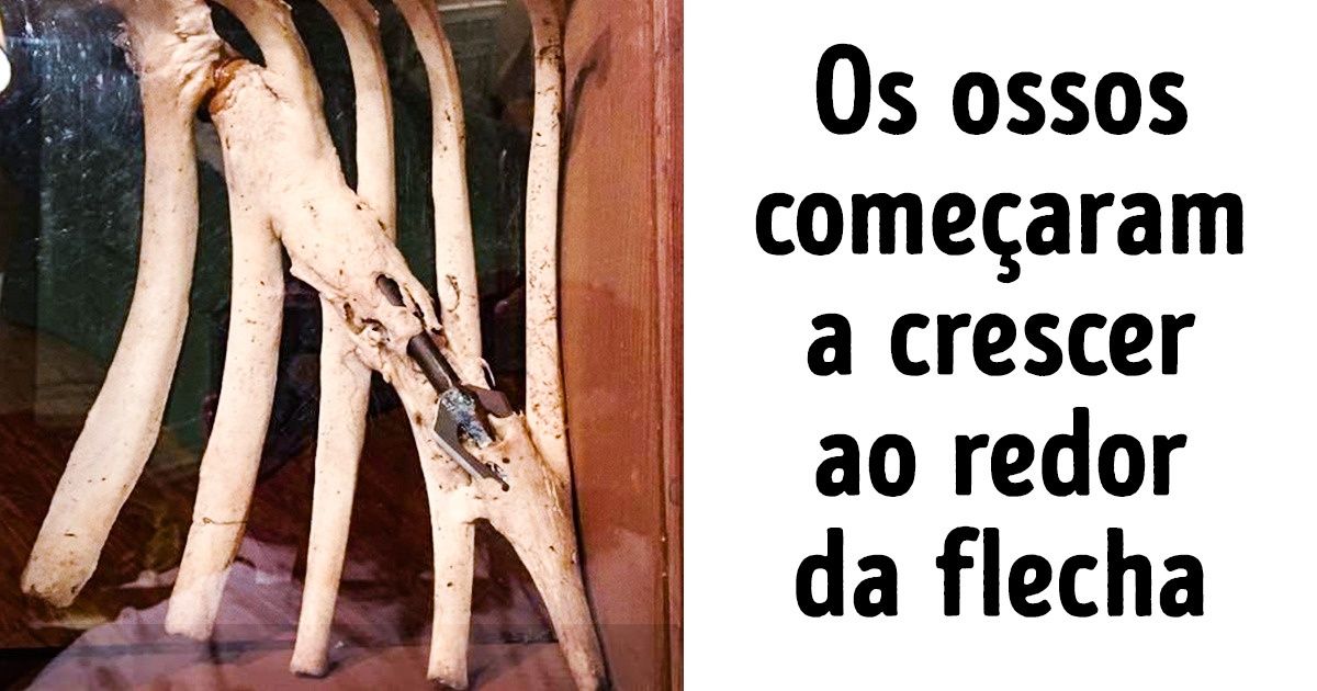 Fotos que mostram que o mundo sempre é capaz de nos surpreender