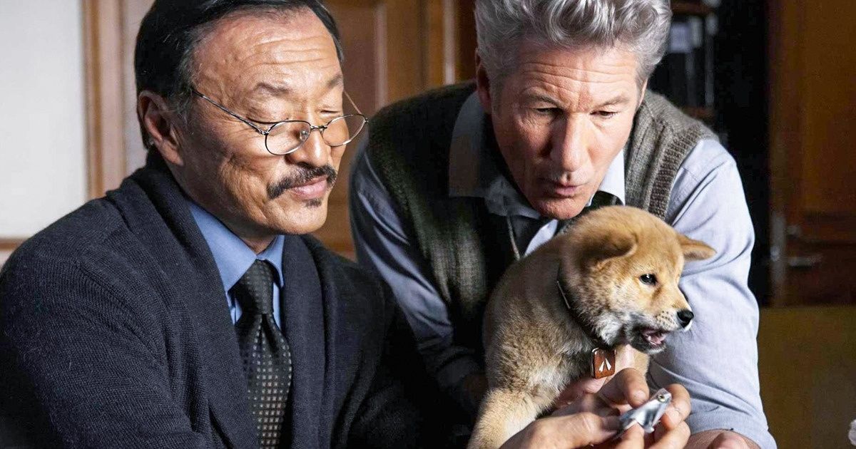 Estudo afirma que falar com seu cão como se ele fosse um bebê pode fortalecer a amizade entre vocês
