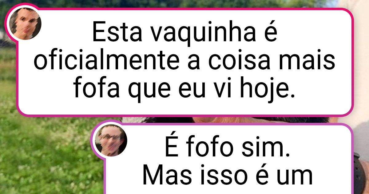 20 Provas de que não só os cães e gatos podem ser os melhores amigos do homem