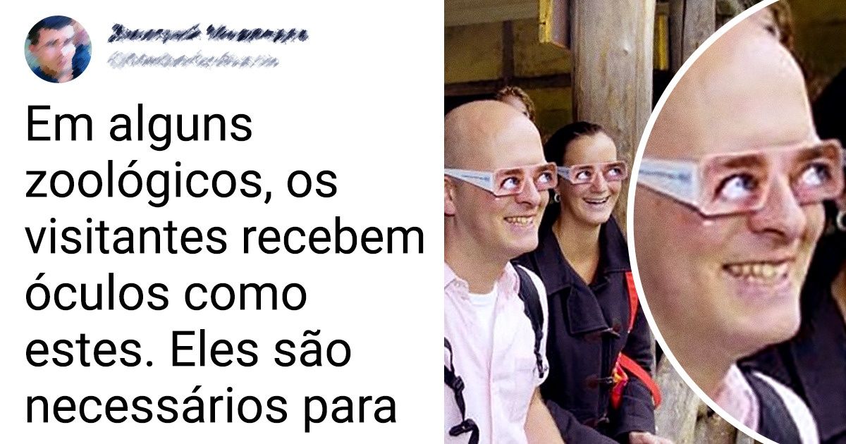 17 Fatos curiosos e pouco conhecidos sobre o reino animal 17 Fatos curiosos e pouco conhecidos sobre o reino animal