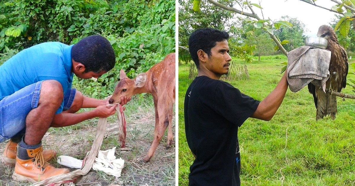 Um homem da Índia trabalhou incansavelmente durante 12 anos para salvar mais de 5.000 animais Um homem da Índia trabalhou incansavelmente durante 12 anos para salvar mais de 5.000 animais