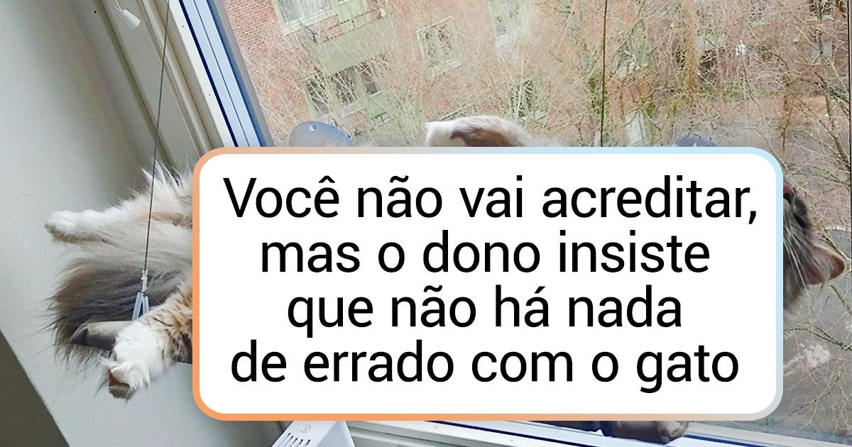 20+ Animais com comportamentos nada comuns 20+ Animais com comportamentos nada comuns