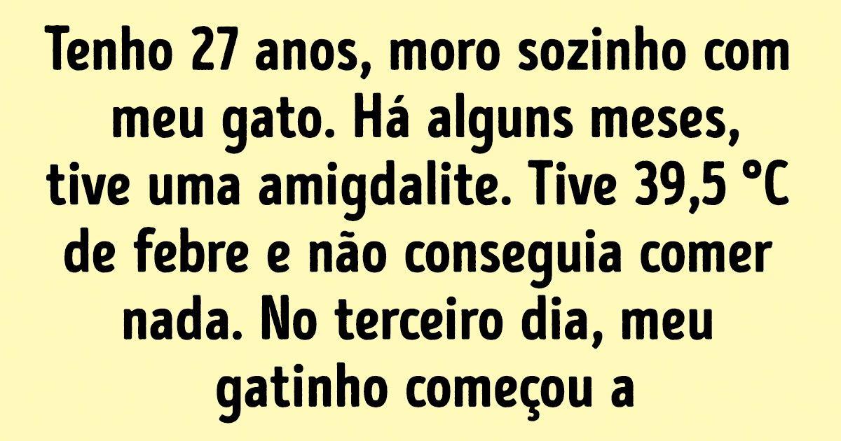 15 Histórias que demonstram que a humanidade subestima toda a sabedoria e astúcia dos gatos 15 Histórias que demonstram que a humanidade subestima toda a sabedoria e astúcia dos gatos