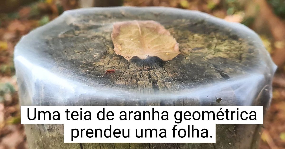 19 Vezes em que a natureza criou imagens mágicas