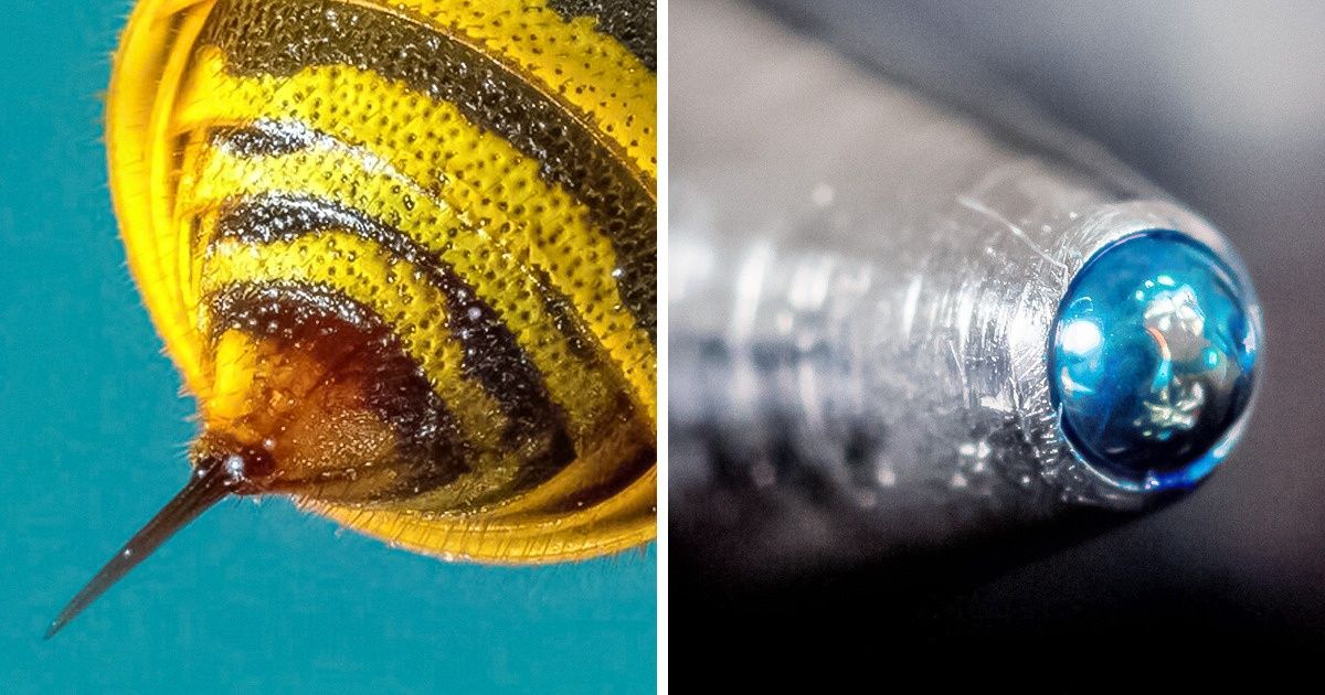 15+ Fotos tiradas bem de perto para mostrar objetos comuns e a natureza em seus mais belos detalhes