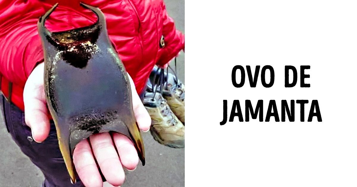 15 Fenômenos raros que acontecem uma vez em um milhão