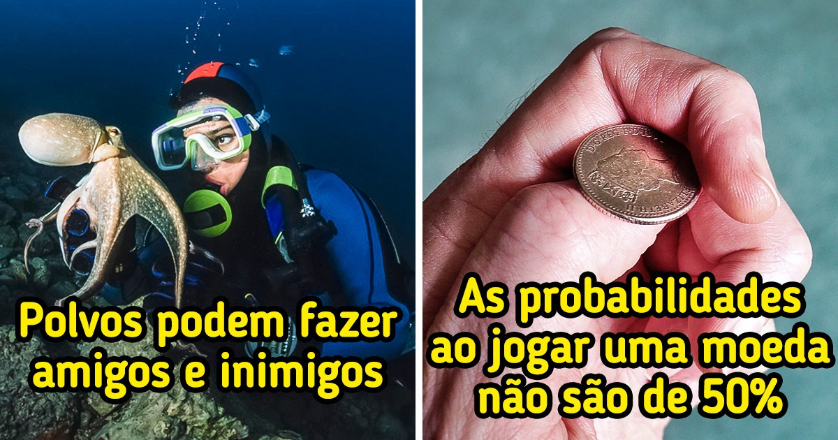 11 Fatos que talvez os professores da escola não tenham te contado
