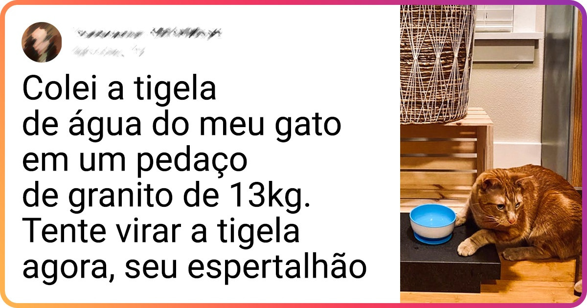 13 Provas de que a vida com um pet não é apenas um “mar de flores”