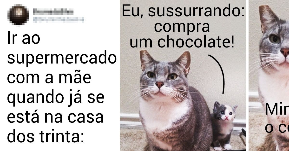 20+ Evidências que os animais parecem muito mais com os humanos do que pensávamos