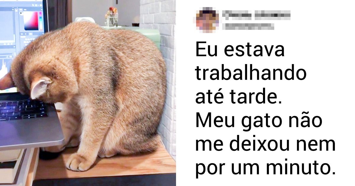 20+ Animais cujo apoio silencioso vale mais do que mil palavras