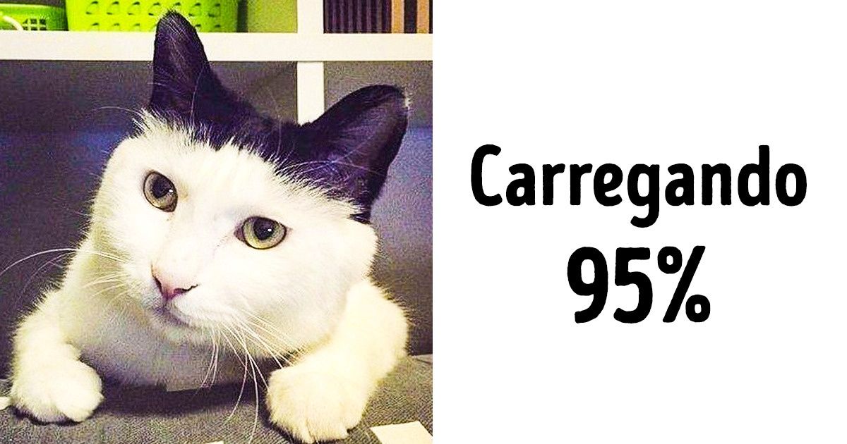 19 Animais nos quais a natureza abusou da criatividade nas cores