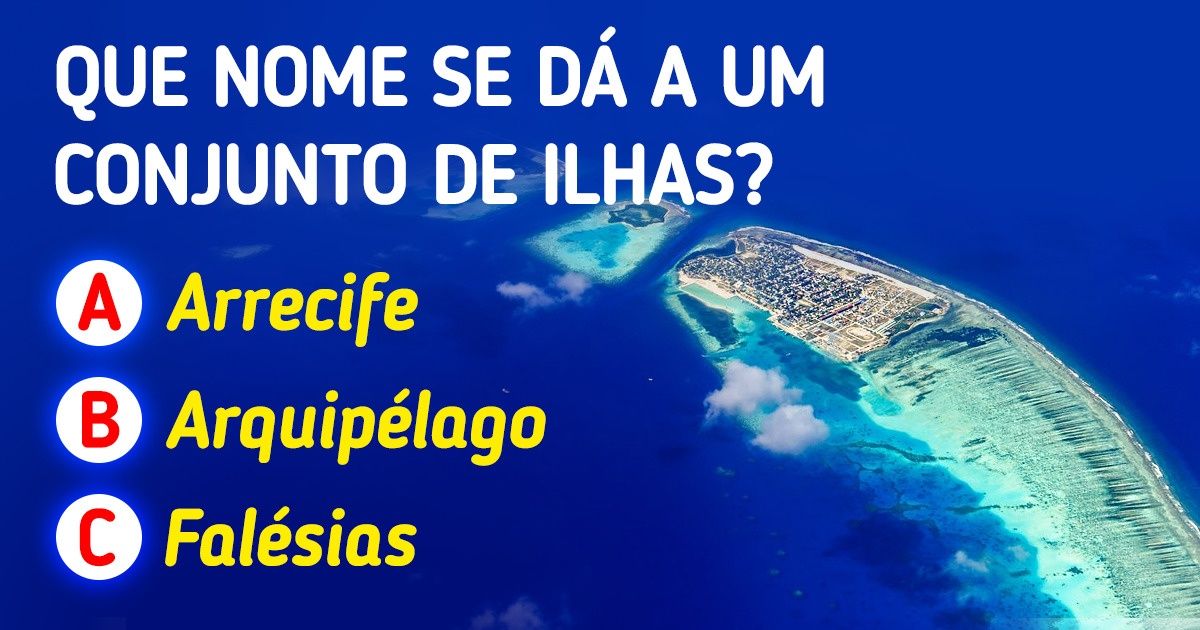 Teste: Desafie-se a responder qual o coletivo destas 15 coisas Teste: Desafie-se a responder qual o coletivo destas 15 coisas