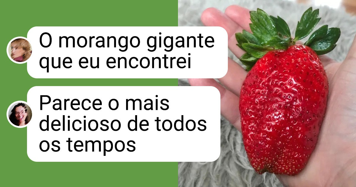 19 Momentos em que a natureza entregou um presente para alguns sortudos 19 Momentos em que a natureza entregou um presente para alguns sortudos