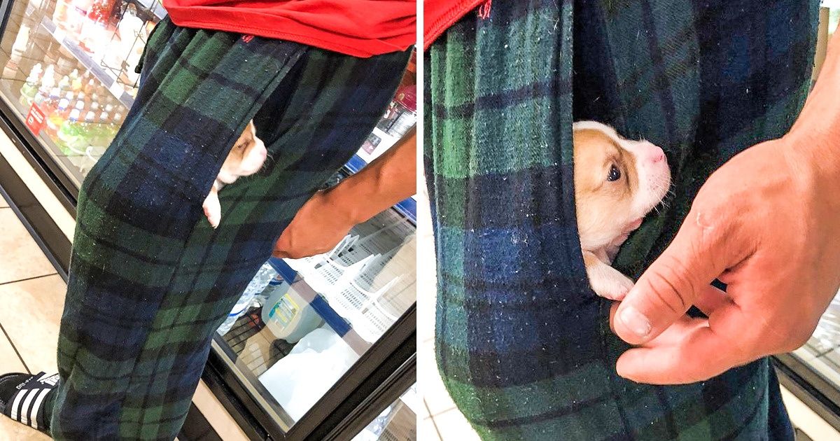 Fotos que mostram que homens são apenas meninos grandes