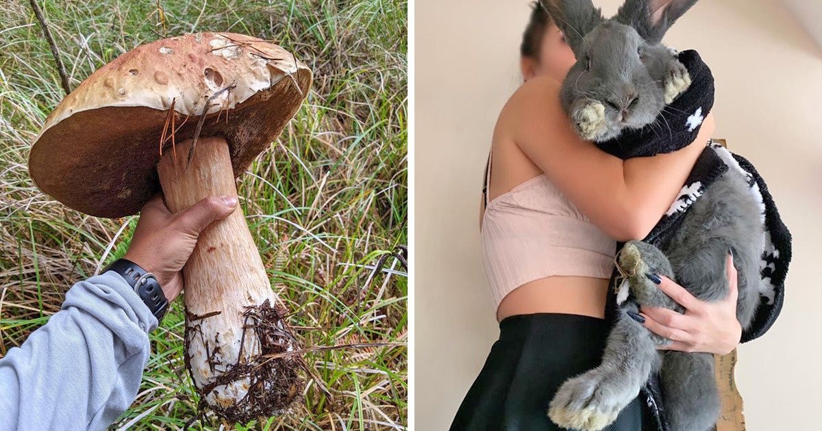 16 Belezas da natureza escondidas que poucos têm a sorte de ver