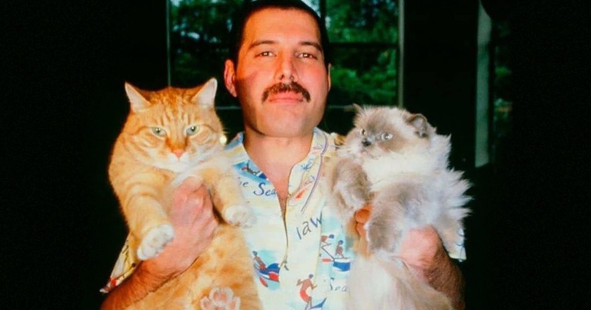 15+ Fotos antigas pouco conhecidas e fofas de alguns famosos 15+ Fotos antigas pouco conhecidas e fofas de alguns famosos
