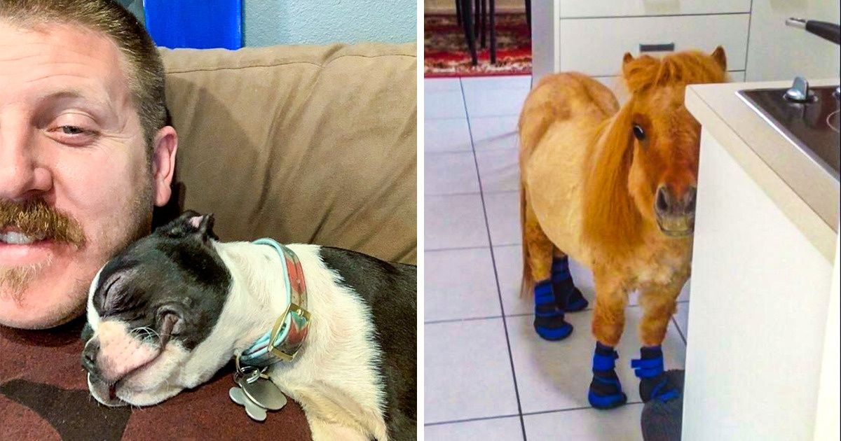 20 Fotos de bichos, bebês e vovós para estourar seu fofurômetro
