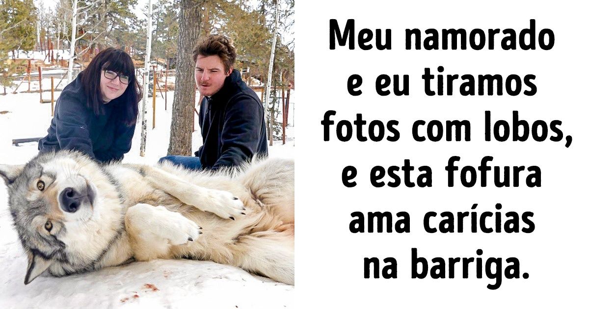 17 Vezes em que animais selvagens e assustadores se mostraram doces 17 Vezes em que animais selvagens e assustadores se mostraram doces