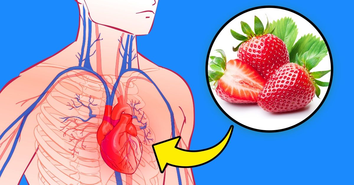 Cientistas contam o que aconteceria com o seu coração se você comesse morangos com frequência Cientistas contam o que aconteceria com o seu coração se você comesse morangos com frequência