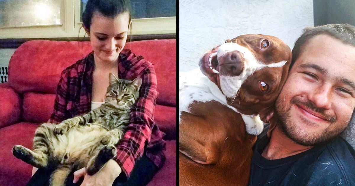 Um estudo explicou por que acariciar cães e gatos reduz o estresse Um estudo explicou por que acariciar cães e gatos reduz o estresse