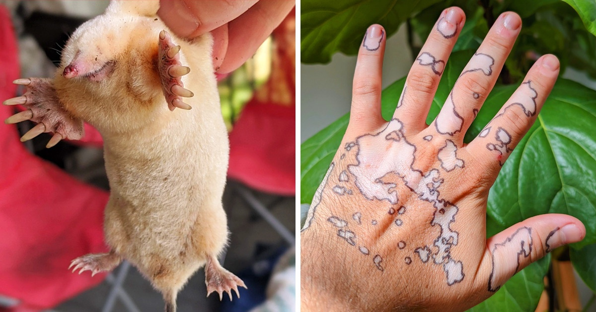 19 Vezes em que a natureza provou ser capaz de usar coisas simples para deixar nosso dia extraordinário