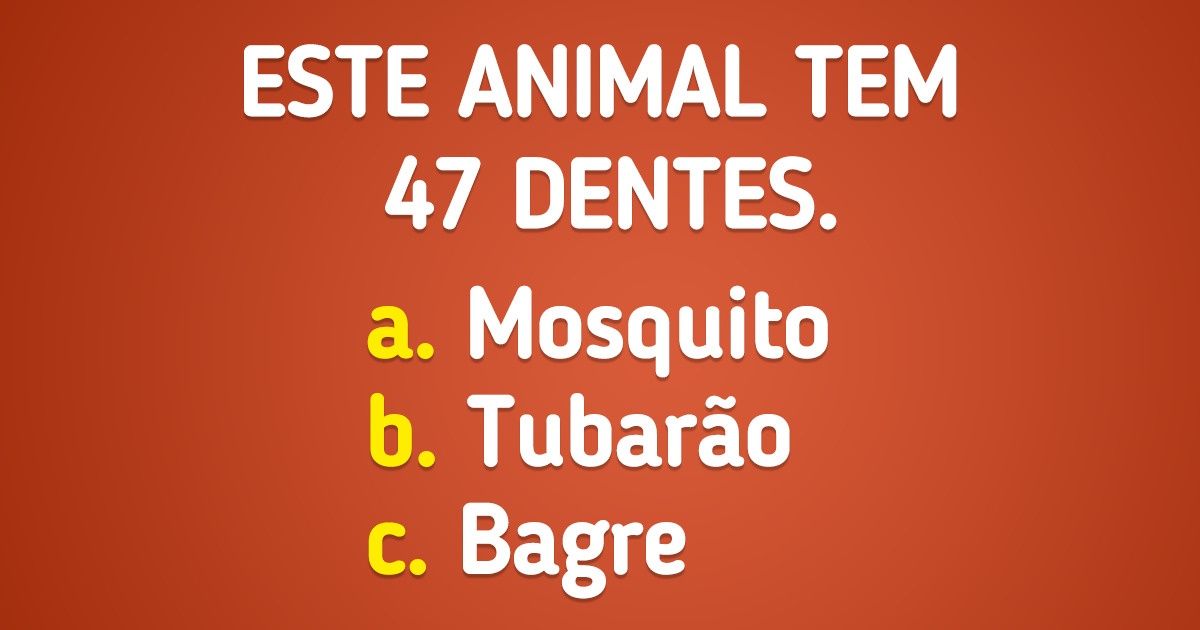 Teste: descubra a qual espécie pertence cada um destes dados curiosos