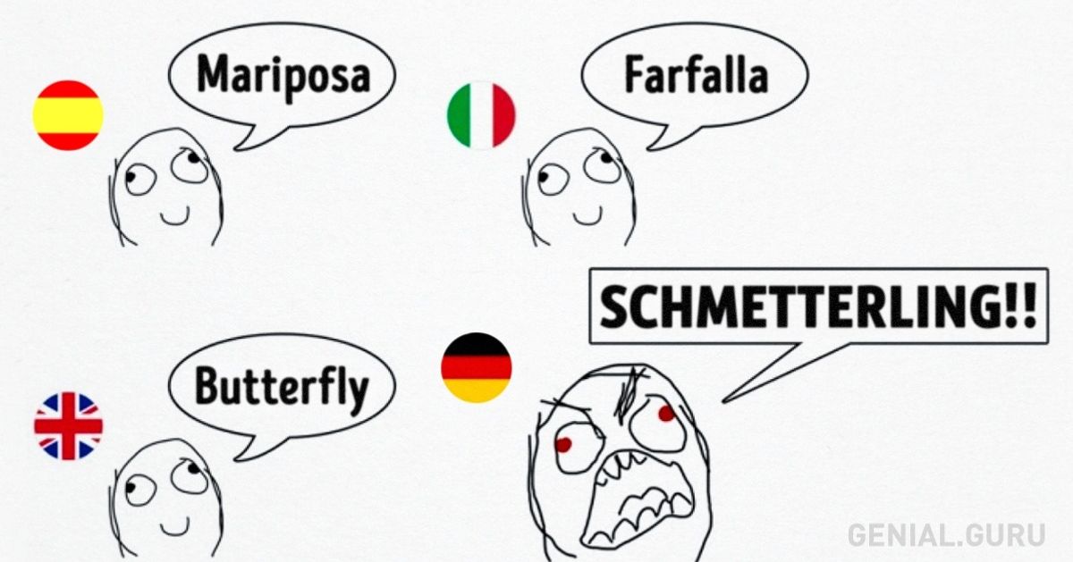 Понравилось по немецки. Мемы про немцев. Мемы про Германию. Германия приколы. Приколы про немецкий язык.