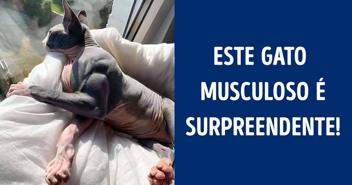 23 Animais que encantam por sua singularidade e por sua imensa fofura