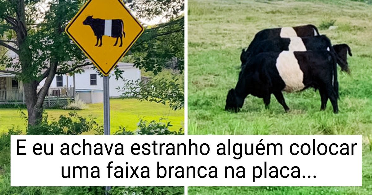 20 Vezes em que a criatividade e o senso de humor criaram pequenas obras-primas 20 Vezes em que a criatividade e o senso de humor criaram pequenas obras-primas